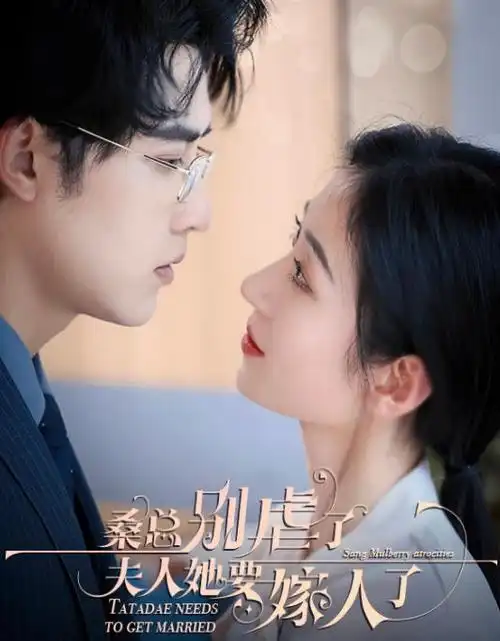 深蓝回声热播电视剧全集免费看